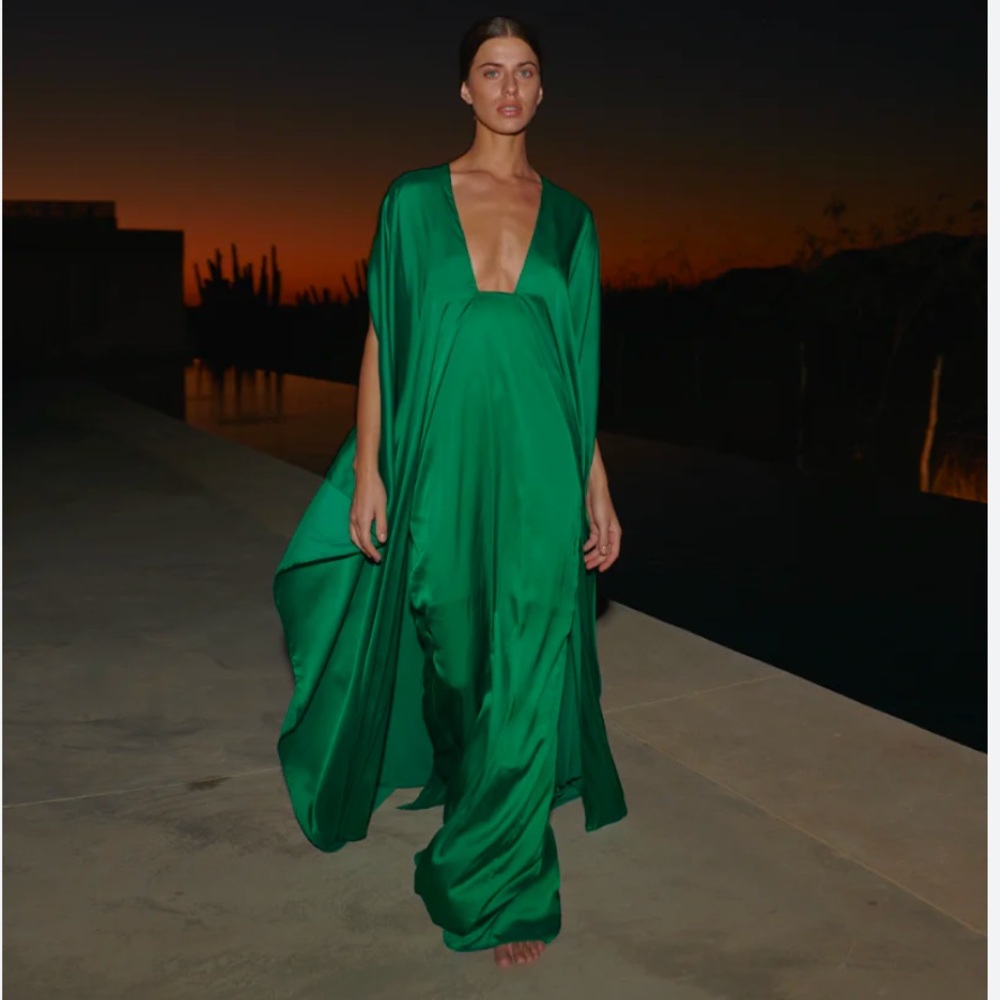 NWT *Still in stores* BAOBAB Pietro Dress